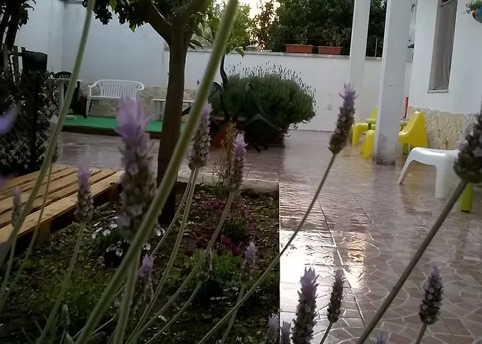 ベッド・アンド・ブレックファスト Fenice Barocca *