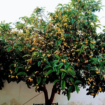 Fenice Barocca * Lecce