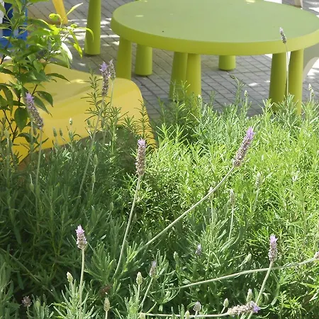 Fenice Barocca Bed and Breakfast Λέτσε