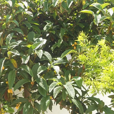 Fenice Barocca * Lecce