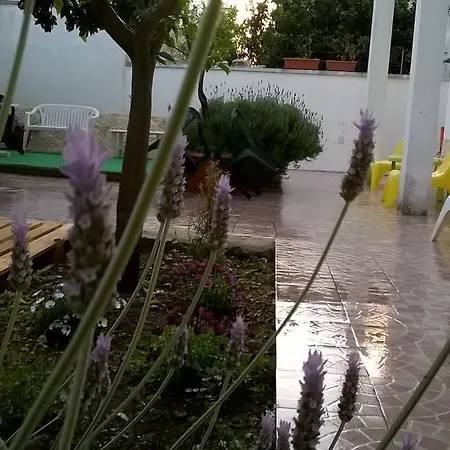 Bed & Breakfast Fenice Barocca *