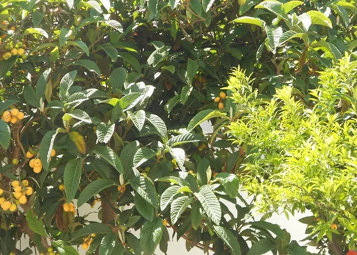 Fenice Barocca * Lecce